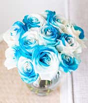 Alternative image 2 for One Dozen Sea Foam Roses