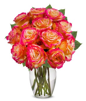 One Dozen Pop of Pink Roses at From You Flowers
