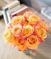 Alternative image 1 for One Dozen Pop of Pink Roses