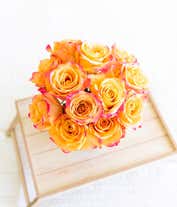 Alternative image 2 for One Dozen Pop of Pink Roses