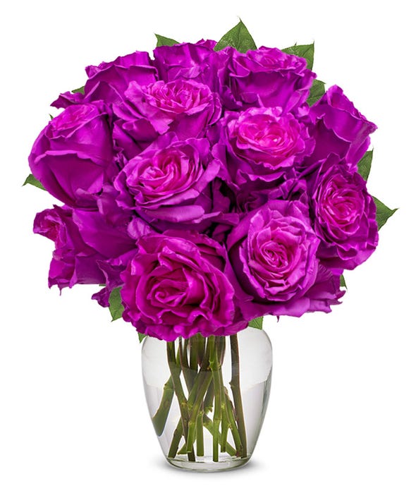 One Dozen Magenta Roses at From You Flowers
