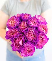 Alternative image 1 for One Dozen Magenta Roses