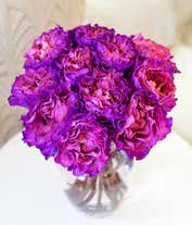 Alternative image 2 for One Dozen Magenta Roses