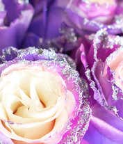 2 Digit Glitter Tinted Rose Bouquet