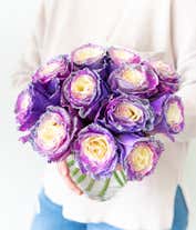 Alternative image 4 for Purple Pastel Glitter Roses 