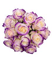 Alternative image 1 for One Dozen Royal Roses