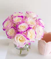 Alternative image 2 for One Dozen Royal Roses