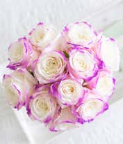 Alternative image 3 for One Dozen Royal Roses