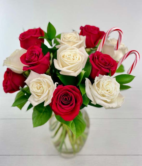 One Dozen Candy Cane Roses at From You Flowers