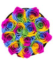 Alternative image 1 for Luxury Dozen Preserved Rainbow Roses