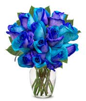 A bouquet of vivid blue and purple roses with green leaves arranged in a clear glass vase.