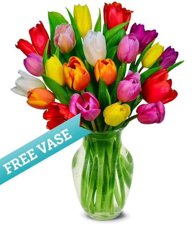 Assorted Tulips with a Free Clear Vase