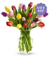 Dazzling Rainbow Tulip Bouquet - 20 Stems