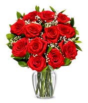 Romantic Starry Night Roses