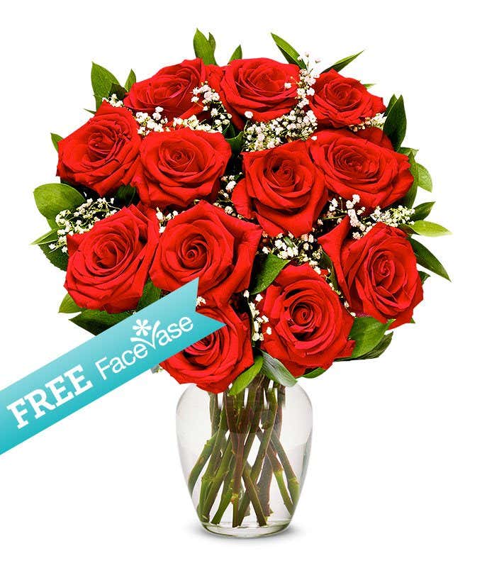 One Dozen Premium Red Roses with Free Facevase