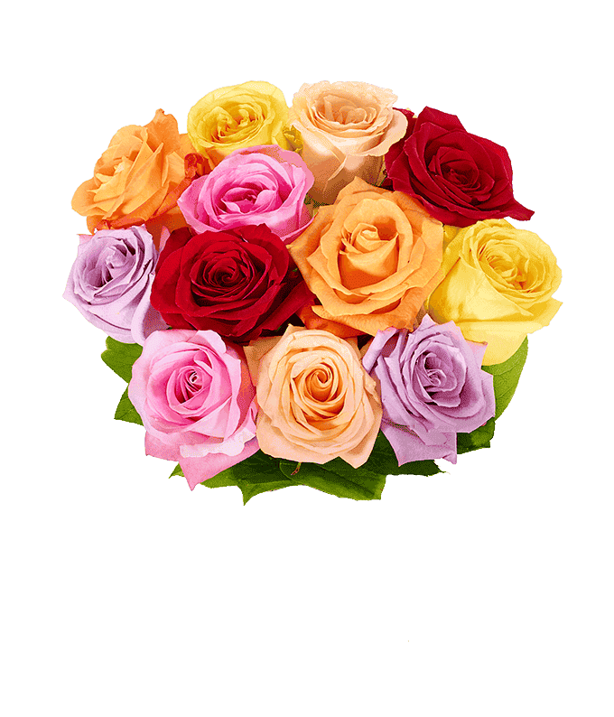 One Dozen Valentine's Day Rainbow Roses at From You Flowers