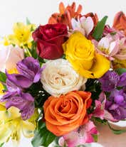 Alternative image 4 for A beautiful arrangement featuring mixed roses and assorted alstroemeria, optionally presented in a glass vase. This vibrant mix offers a colorful and cheerful display, perfect for any occasion.