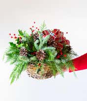 Alternative image 1 for Christmas greens arranged with holly in a basket