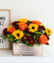 Alternative image 1 for A bright and cheerful floral arrangement featuring sunflowers, orange roses, butterscotch daisies, and green poms, all beautifully arranged in a wooden planter.