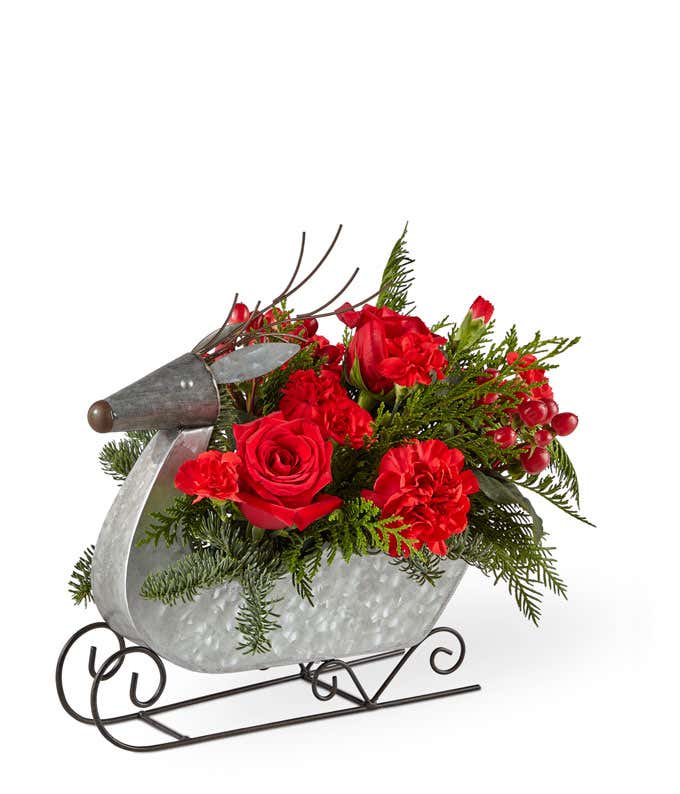 Red flowers mixed with seasonal greens, arranged into a silver reindeer sleigh container