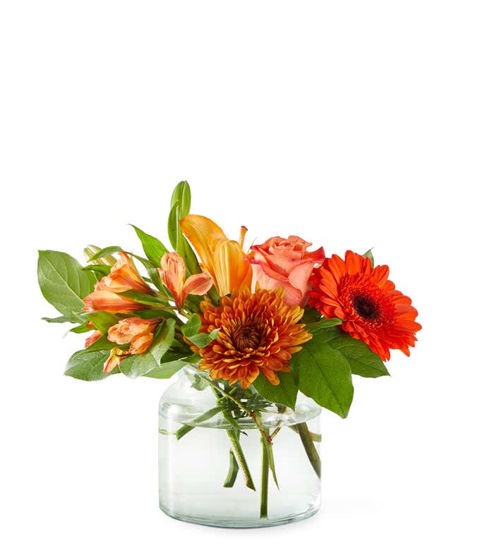 Orange Roses, Lilies, & Daisies in a glass Cinch Vase with a white background