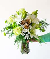 Alternative image 1 for A festive arrangement with white Asiatic lilies, green roses, green and white poms, evergreens, displayed in a glass cylinder vase.