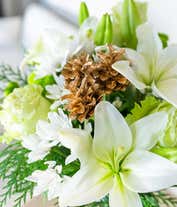 Alternative image 4 for A festive arrangement with white Asiatic lilies, green roses, green and white poms, evergreens, displayed in a glass cylinder vase.