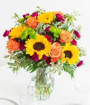 Alternative image 2 for A floral arrangement featuring orange roses, sunflowers, violet mini carnations, and green button poms in a clear vase.