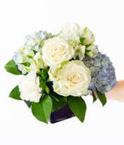 Alternative image 3 for A serene arrangement featuring white carnations, white roses, white alstroemeria, and blue hydrangea, elegantly presented in a blue cube vase. This beautiful mix creates a peaceful and soothing display.