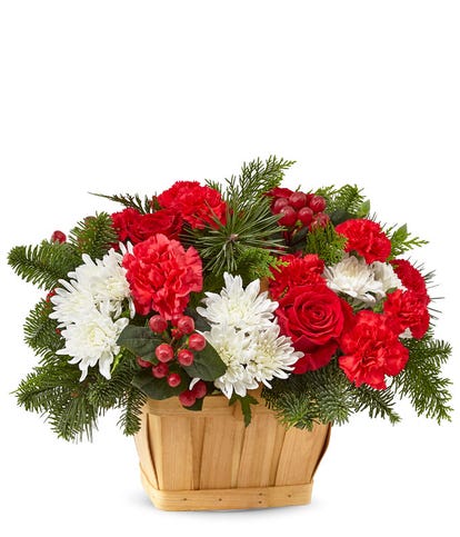 Good Tidings Evergreen Basket at From You Flowers