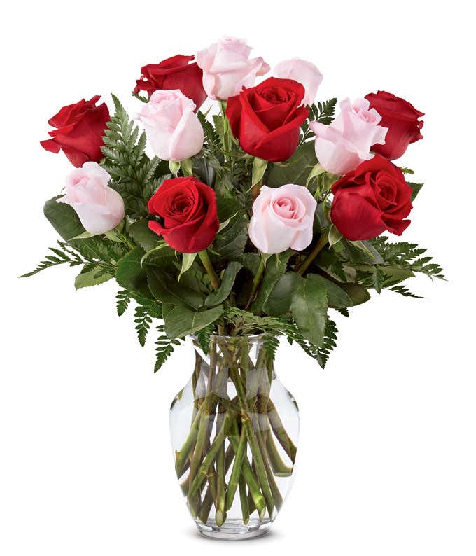 Red roses and pink roses for valentine's gift