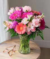 Alternative image 1 for Gerbera daisies in shades of coral and hot pink, arranged with pink carnations and alstroemeria in a tall clear cylinder vase