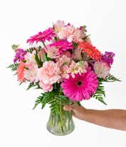 Alternative image 2 for Gerbera daisies in shades of coral and hot pink, arranged with pink carnations and alstroemeria in a tall clear cylinder vase