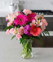 Alternative image 3 for Gerbera daisies in shades of coral and hot pink, arranged with pink carnations and alstroemeria in a tall clear cylinder vase