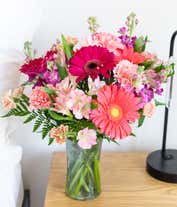 Alternative image 4 for Gerbera daisies in shades of coral and hot pink, arranged with pink carnations and alstroemeria in a tall clear cylinder vase