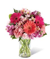 Gerbera daisies in shades of coral and hot pink, arranged with pink carnations and alstroemeria in a tall clear cylinder vase