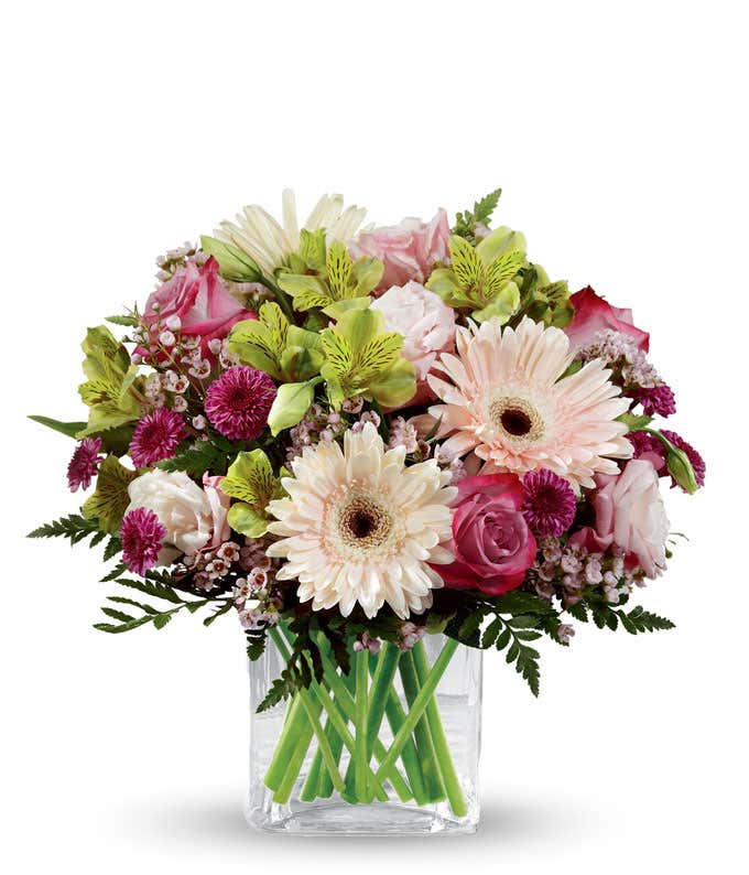 White gerbera daisies arranged with purple roses, and green and purple filler, in a short cube vase