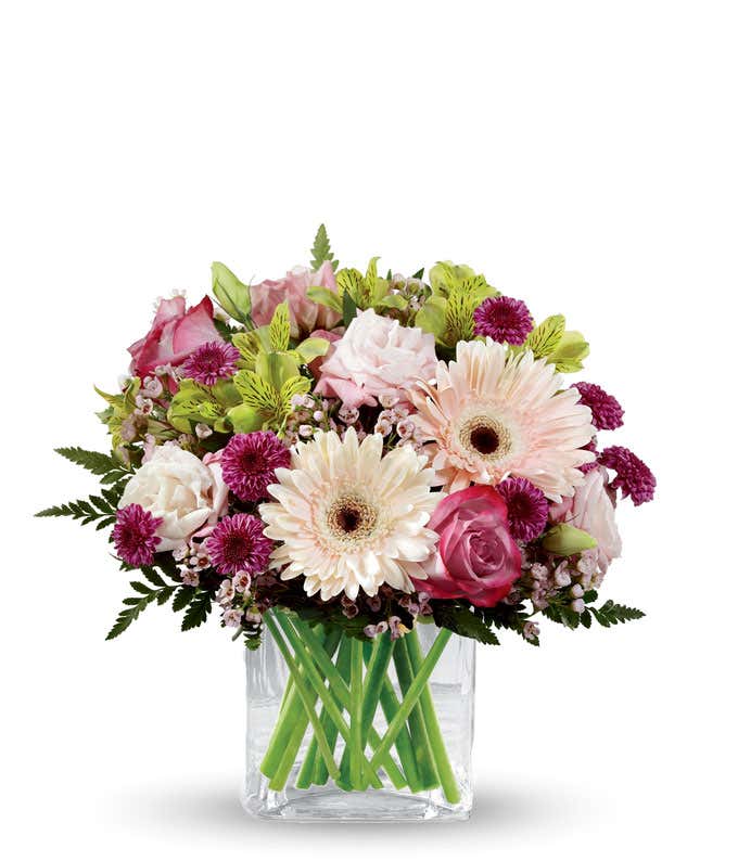 White gerbera daisies arranged with purple roses, and green and purple filler, in a short cube vase