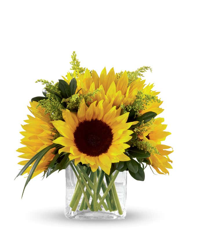 Sunflowers with yellow filler and mixed greens in a short cube vase