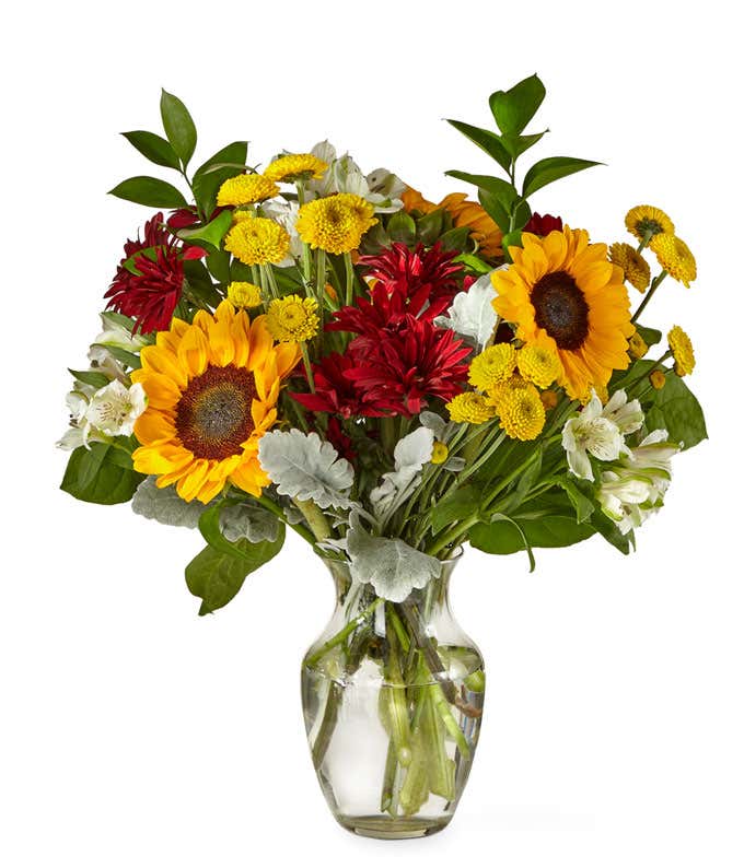 Yellow Sunflowers & Button Poms, White Alstroemeria with floral greens in a glass gathering vase on a table