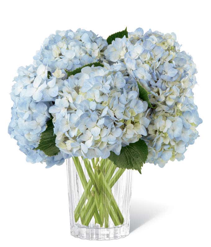 Blue hydrangea bouquet
