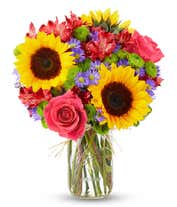 A vibrant bouquet in a mason jar featuring large yellow sunflowers, pink roses, red alstroemeria, purple poms, and green chrysanthemums. The jar is wrapped with a simple twine bow, showcasing the fresh green stems inside.