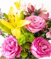 Alternative image 4 for A vibrant arrangement featuring yellow lilies, pink roses, pink alstroemeria, green poms, and purple Monte Casino, beautifully arranged in a glass vase. This colorful mix offers a cheerful and eye-catching display, perfect for brightening any occasion.