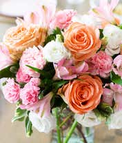 Alternative image 2 for A delightful floral arrangement of peach roses, pink carnations, pink alstroemeria, and white lisianthus, elegantly arranged in a glass vase. This soft and romantic mix of flowers offers a gentle and inviting display.