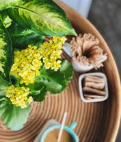 Alternative image 2 for Flowers and Foliage Dish Garden