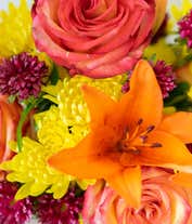 Alternative image 3 for  A cheerful floral arrangement featuring orange roses, orange lilies, red Matsumoto asters, and yellow poms, all beautifully arranged in a pumpkin ceramic container.