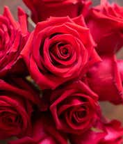 Alternative image 1 for Florist Designed Anniversary Bouquet