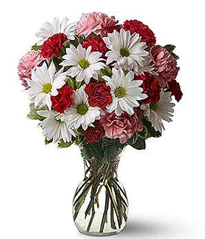 Red and pink carnation and daisies bouquet as cheap Valentine's day flowers 