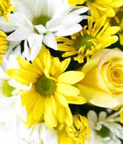 Alternative image 2 for Get well flower arrangement delivered by florist