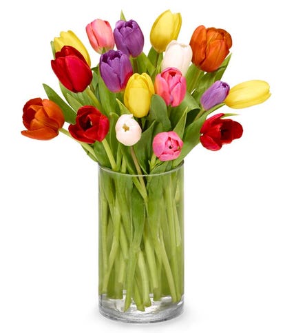 Tulip Rainbow at From You Flowers